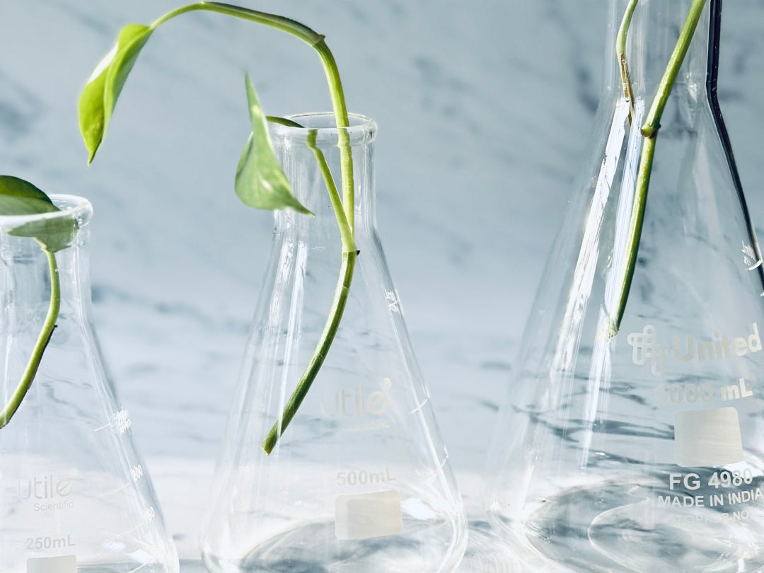 Natural Isolates in Perfumery: Wit & West Perfumes Field Notes Blog